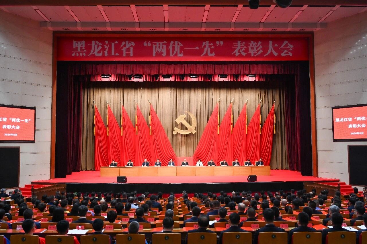 喜报！尊龙凯时人生就是搏党支部荣获黑龙江省先进基层党组织称号